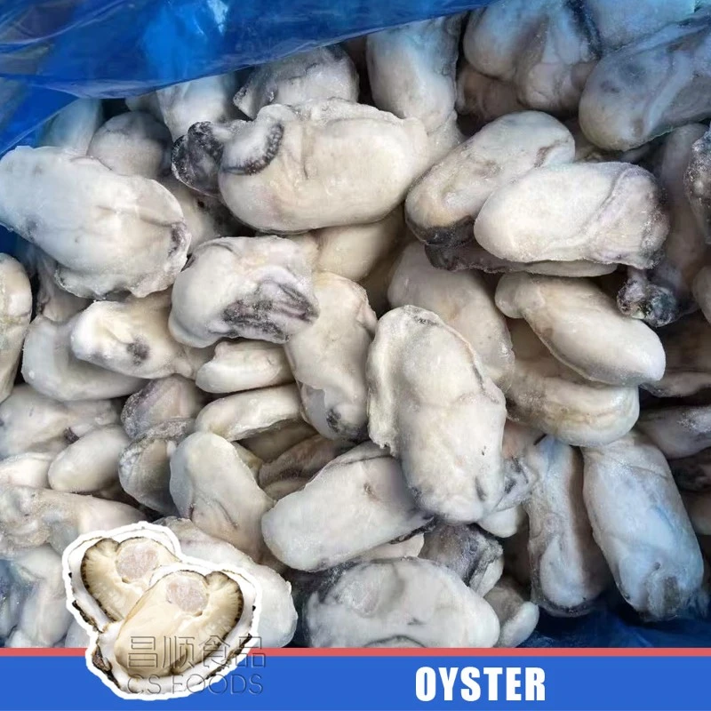 oyster oyster