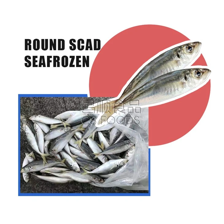 Seafrozen Yellowtail Scad